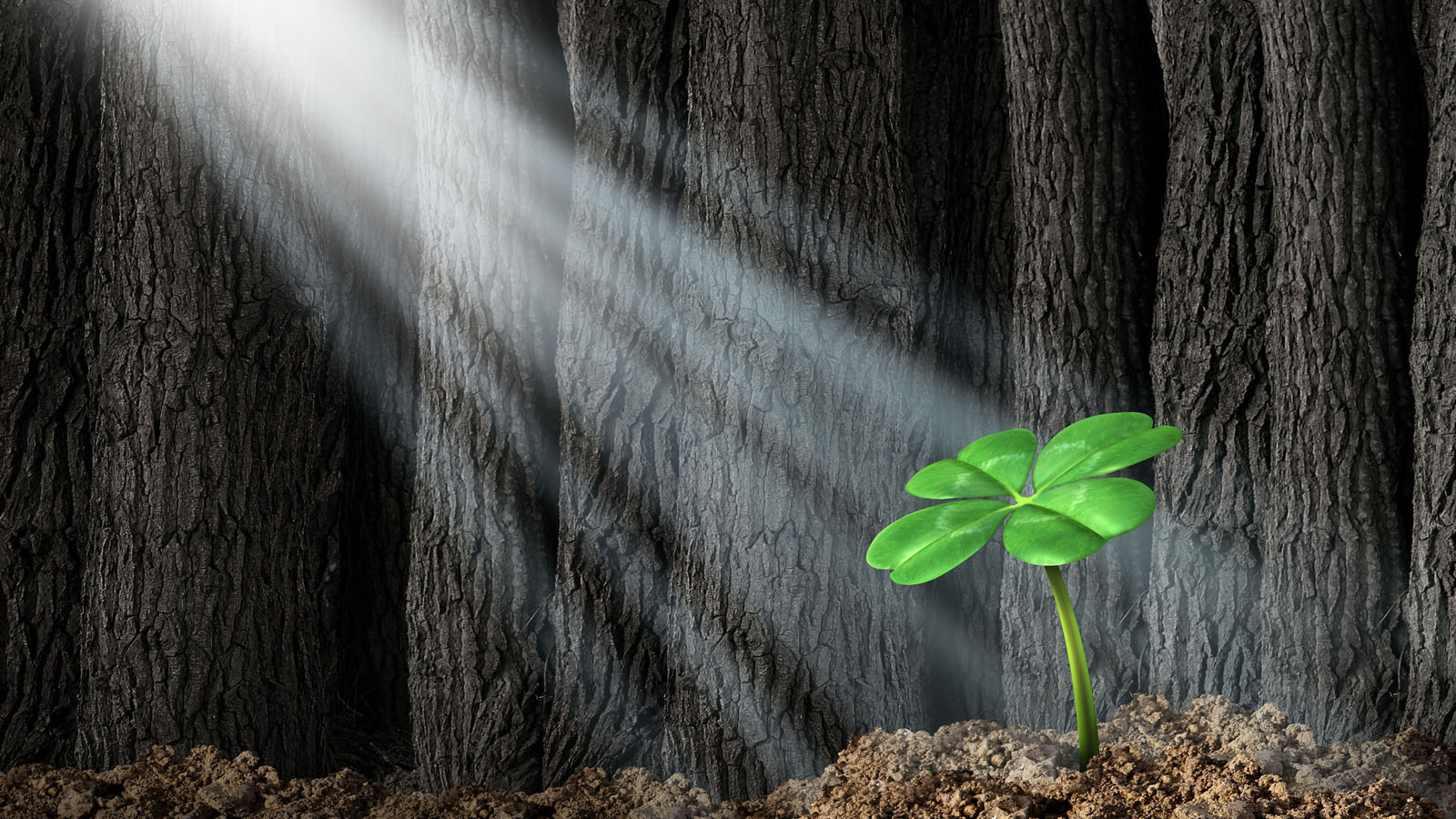 
				<a href='#yeminlimalimusavirlik' style='text-decoration:none;color:white'>Yeminli Mali Müşavirlik</a> 
				<a href='#malimusavirlik' style='text-decoration:none;color:white;'><br>Mali Müşavirlik</a>
				<a href='#bagimsizdenetim' style='text-decoration:none;color:white;'><br>Bağımsız Denetim</a> 
				<a href='#ozeldenetim' style='text-decoration:none;color:white;'><br>Özel Denetim</a> 
				<a href='#hukukhizmetleri' style='text-decoration:none;color:white;'><br>Hukuk Hizmetleri</a> 				
				